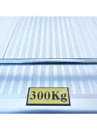 Platós raktári kézikocsi BF-NP300