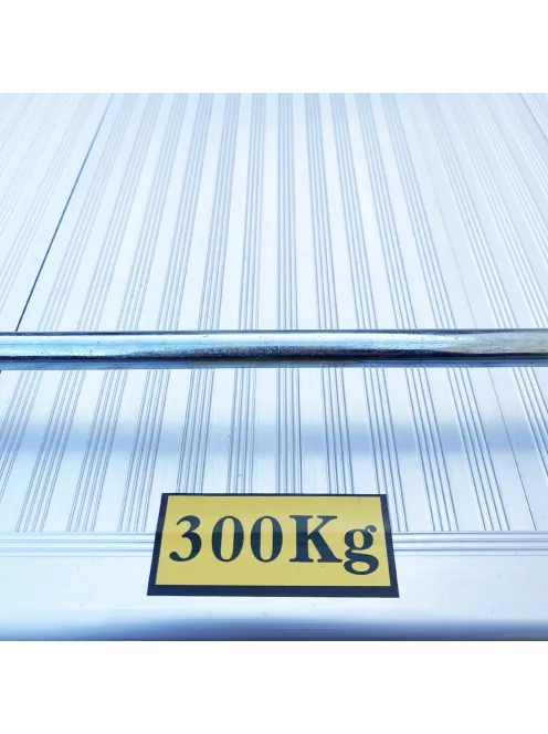Platós raktári kézikocsi BF-NP300