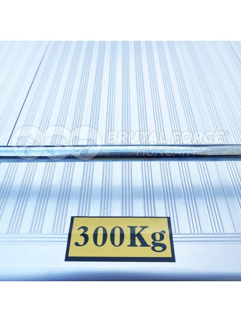 Platós raktári kézikocsi BR-NP300